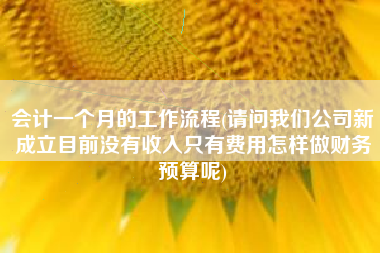 会计一个月的工作流程(请问我们公司新成立目前没有收入只有费用怎样做财务预算呢)