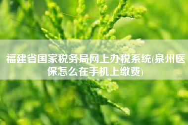 福建省国家税务局网上办税系统(泉州医保怎么在手机上缴费)