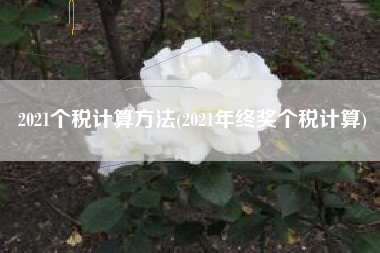 2021个税计算方法(2021年终奖个税计算)