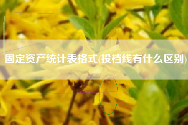固定资产统计表格式(投档线有什么区别)