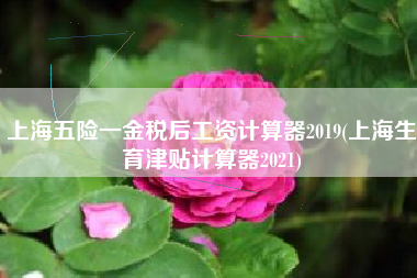 上海五险一金税后工资计算器2019(上海生育津贴计算器2021)