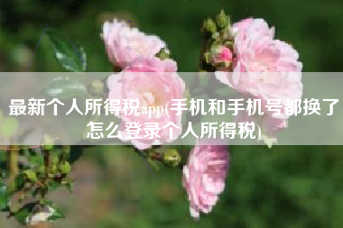 最新个人所得税app(手机和手机号都换了怎么登录个人所得税)