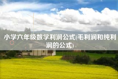 小学六年级数学利润公式(毛利润和纯利润的公式)