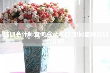 注册会计师查询登录入口(如何查询注册会计师)