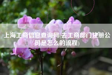 上海工商信息查询网(去工商部门注册公司是怎么的流程)