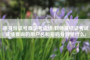 用身份证号查学考成绩(教师资格证考试成绩查询的用户名和密码分别是什么)