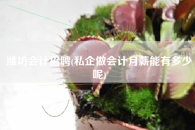 潍坊会计招聘(私企做会计月薪能有多少呢)