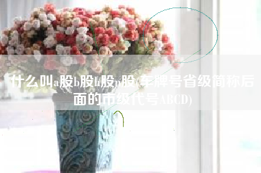 什么叫a股b股h股n股(车牌号省级简称后面的市级代号ABCD)