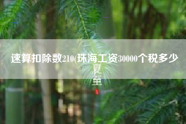 速算扣除数210(珠海工资30000个税多少
)