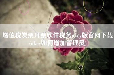 增值税发票开票软件税务ukey版官网下载(ukey如何增加管理员)