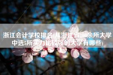 浙江会计学校排名(从浙江省100余所大学中选5所实力比较强的大学有哪些)