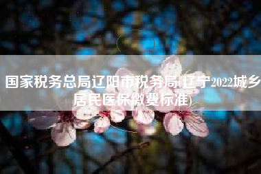 国家税务总局辽阳市税务局(辽宁2022城乡居民医保缴费标准)