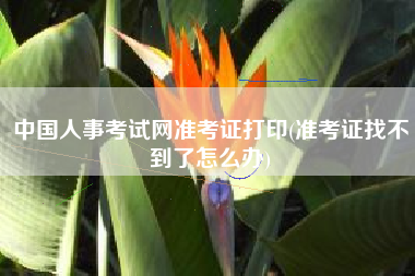 详细阅读:中国人事考试网准考证打印(准考证找不到了怎么办) 中国人事考试网准考证打印(准考证找不到了怎么办)