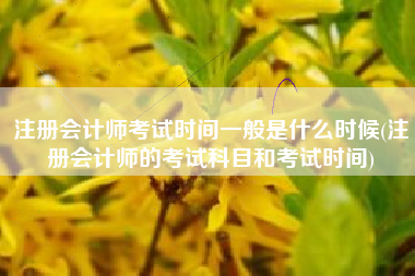 注册会计师考试时间一般是什么时候(注册会计师的考试科目和考试时间)