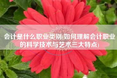 会计是什么职业类别(如何理解会计职业的科学技术与艺术三大特点)