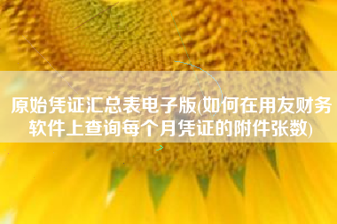 原始凭证汇总表电子版(如何在用友财务软件上查询每个月凭证的附件张数)