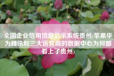全国企业信用信息公示系统贵州(苹果华为腾讯和三大运营商的数据中心为何都看上了贵州)
