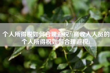 个人所得税如何合理避税?(高收入人员的个人所得税如何合理避税)