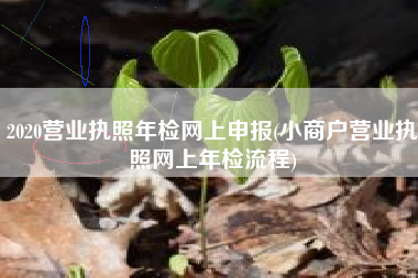 2020营业执照年检网上申报(小商户营业执照网上年检流程)