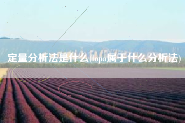 定量分析法是什么(lopa属于什么分析法)