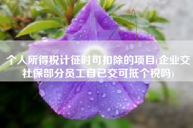 详细阅读:个人所得税计征时可扣除的项目(企业交社保部分员工自已交可抵个税吗) 个人所得税计征时可扣除的项目(企业交社保部分员工自已交可抵个税吗)