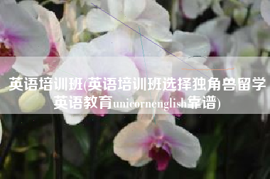 详细阅读:英语培训班(英语培训班选择独角兽留学英语教育unicornenglish靠谱) 英语培训班(英语培训班选择独角兽留学英语教育unicornenglish靠谱)