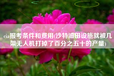 详细阅读:cia报考条件和费用(沙特油田设施就被几架无人机打掉了百分之五十的产量) cia报考条件和费用(沙特油田设施就被几架无人机打掉了百分之五十的产量)