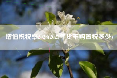增值税税率2023(2023年货车购置税多少)