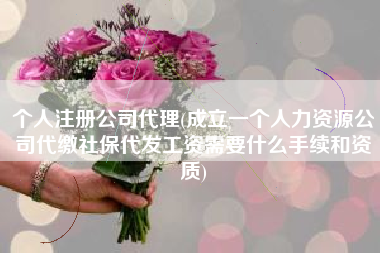 个人注册公司代理(成立一个人力资源公司代缴社保代发工资需要什么手续和资质)