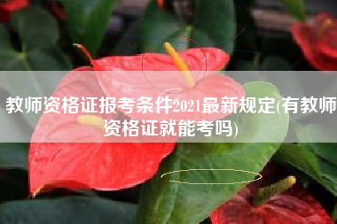 教师资格证报考条件2021最新规定(有教师资格证就能考吗)