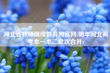 河北省教师继续教育网官网(明年河北高考本一本二批次合并)