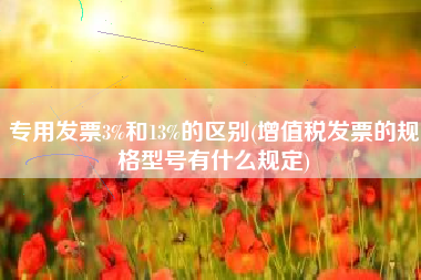专用发票3%和13%的区别(增值税发票的规格型号有什么规定)