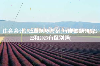 注会会计2022真题及答案(万唯试题研究2022和2023有区别吗)