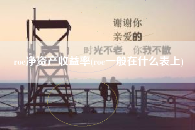 roe净资产收益率(roe一般在什么表上)