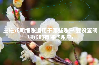 三栏式明细账适用于哪些账户(要设置明细账的有哪些账户)