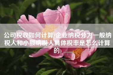 公司税收如何计算(企业纳税分为一般纳税人和小额纳税人具体税率是怎么计算的)