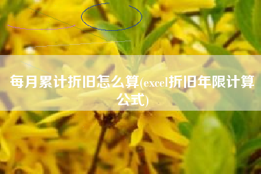 每月累计折旧怎么算(excel折旧年限计算公式)