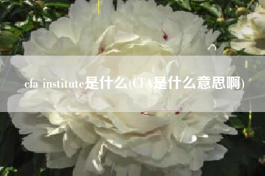 cfa institute是什么(CFA是什么意思啊)
