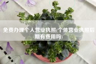 详细阅读:免费办理个人营业执照(个体营业执照后期有费用吗) 免费办理个人营业执照(个体营业执照后期有费用吗)