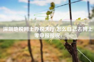 详细阅读:深圳地税网上办税大厅(怎么自己去网上零申报报税) 深圳地税网上办税大厅(怎么自己去网上零申报报税)