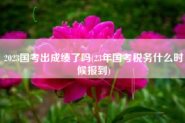 详细阅读:2023国考出成绩了吗(23年国考税务什么时候报到) 2023国考出成绩了吗(23年国考税务什么时候报到)