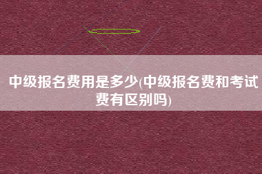 中级报名费用是多少(中级报名费和考试费有区别吗)