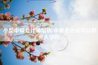 小型中级会计师培训(中级会计证可以积分入学吗)