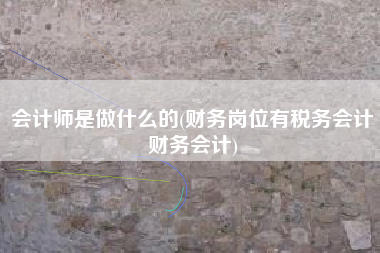 会计师是做什么的(财务岗位有税务会计财务会计)