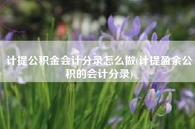 计提公积金会计分录怎么做(计提盈余公积的会计分录)