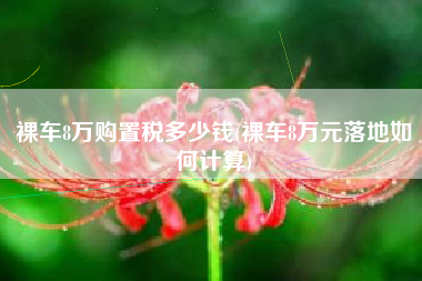 裸车8万购置税多少钱(裸车8万元落地如何计算)
