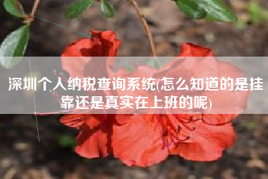 深圳个人纳税查询系统(怎么知道的是挂靠还是真实在上班的呢)