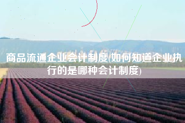 商品流通企业会计制度(如何知道企业执行的是哪种会计制度)