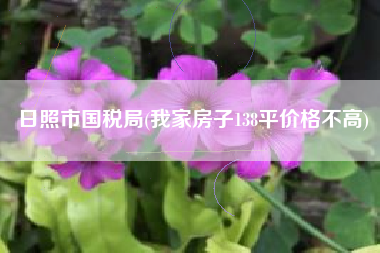 日照市国税局(我家房子138平价格不高)