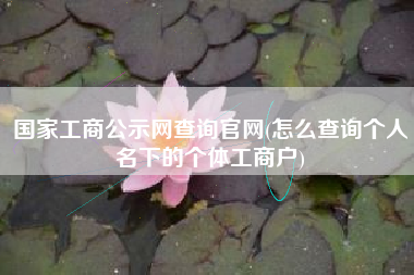 国家工商公示网查询官网(怎么查询个人名下的个体工商户)